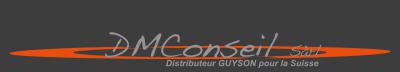 DM CONSEIL